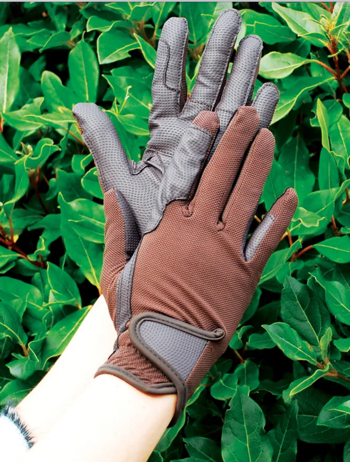 Rhinegold - Super Stretch Mesh Backed Riding Gloves