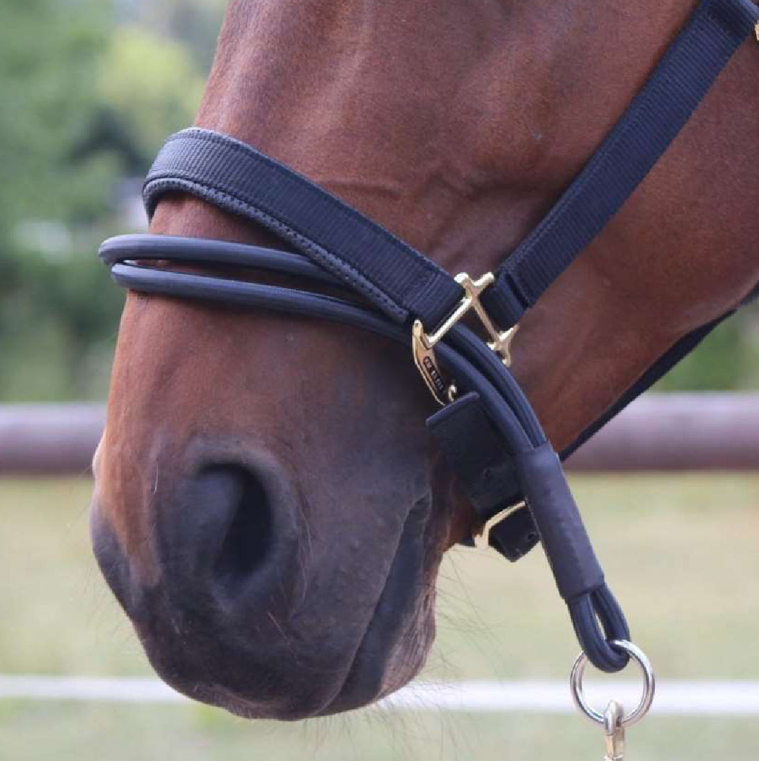 Ezyloader - Headcollar Adaptor