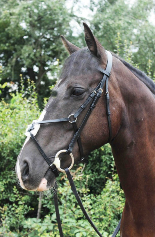 Sheldon Classic Grackle Bridle & Reins