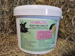 Hubblick - Licks