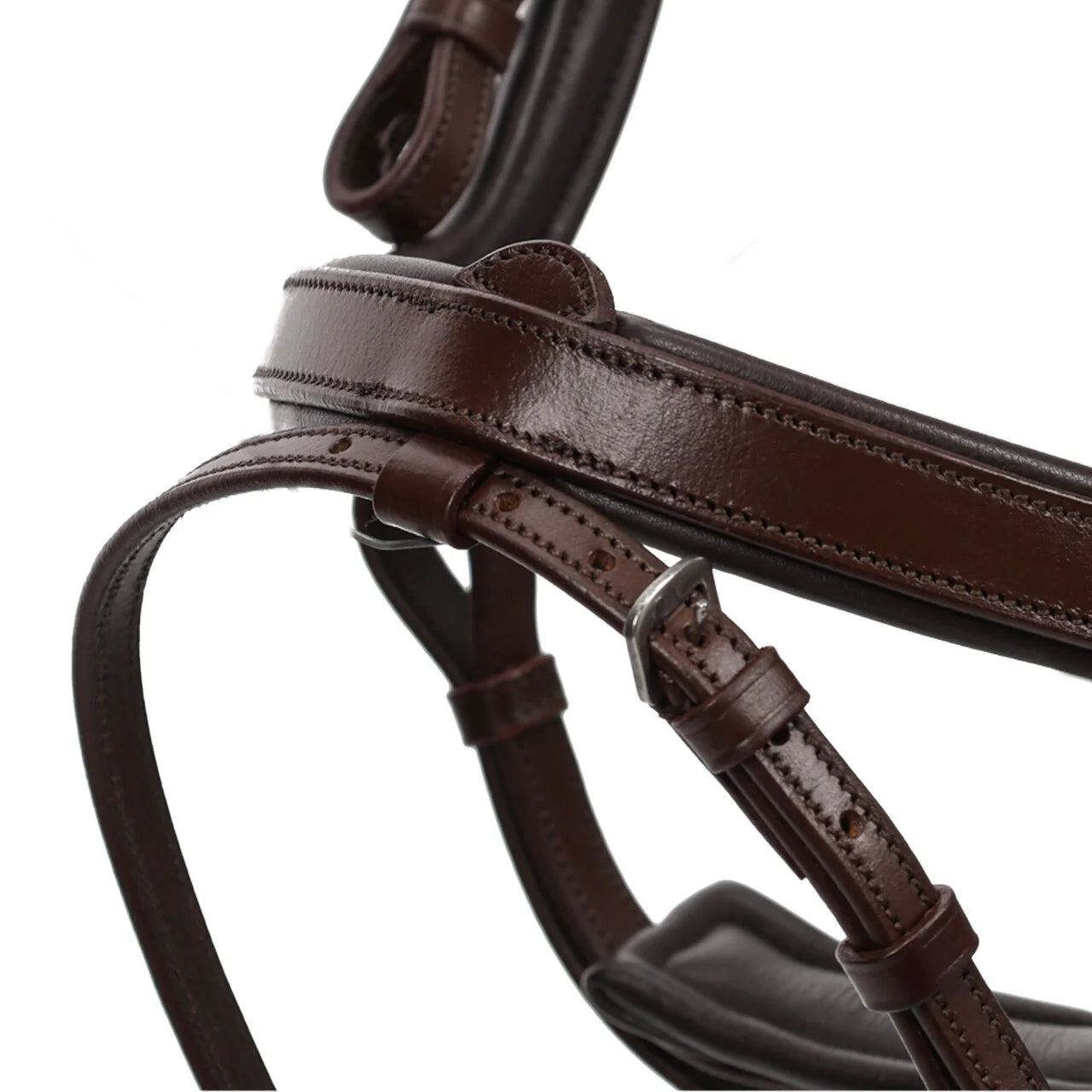 QHP Salerno Bridle with Reins