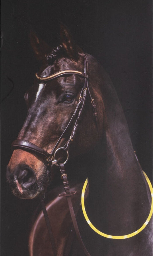 Hkm - Illuminated Hi Vis Neck Ring Led