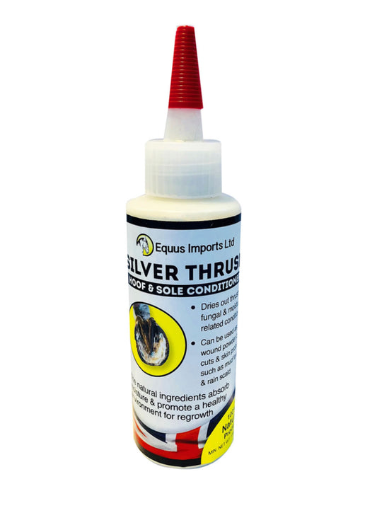Equus Imports Silver Thrush