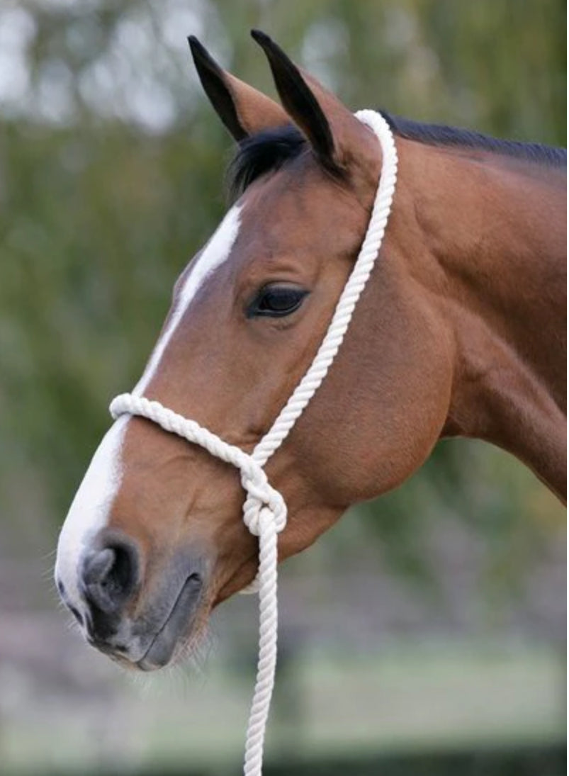 Rope Halter - White