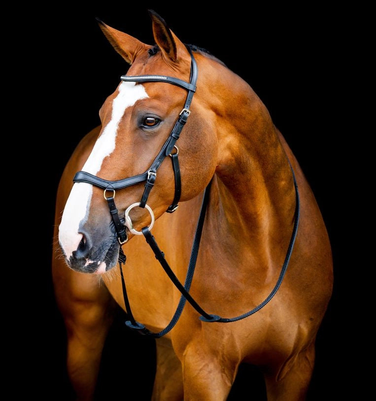 Rambo Micklem Diamante Competition Bridle
