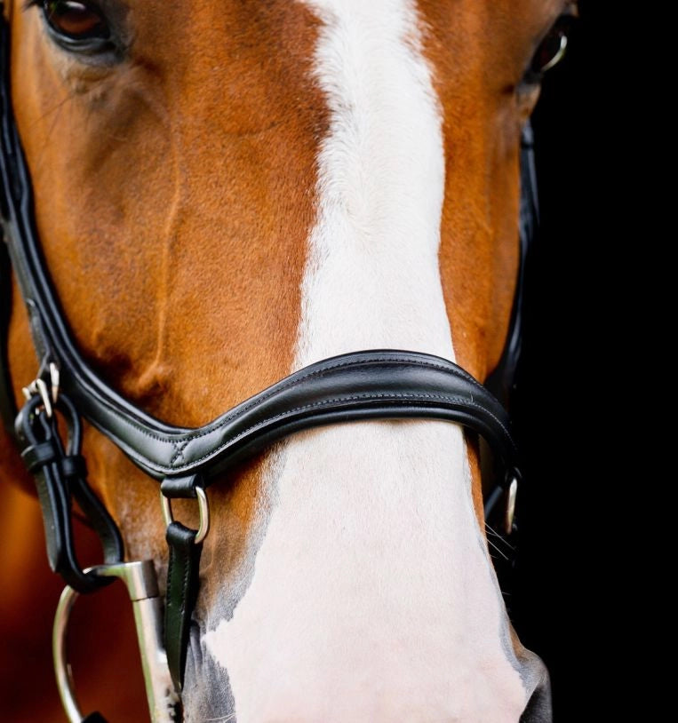 Rambo Micklem Diamante Competition Bridle