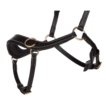 QHP Anatomical Bitless Bridle & Reins
