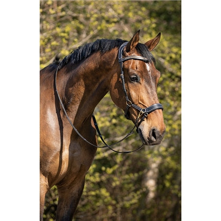 QHP Anatomical Bitless Bridle & Reins