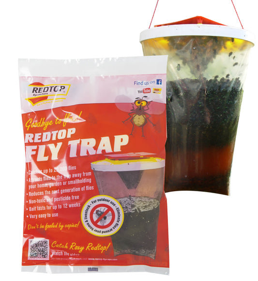 Redtop Fly Trap - 1 trap