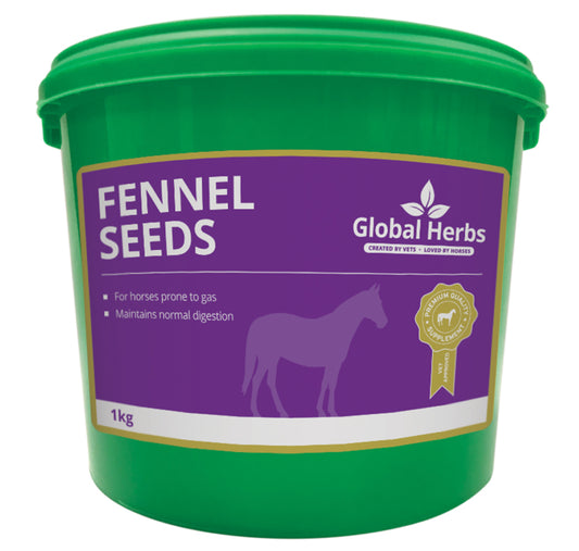 Global Herbs - Fennel Seeds