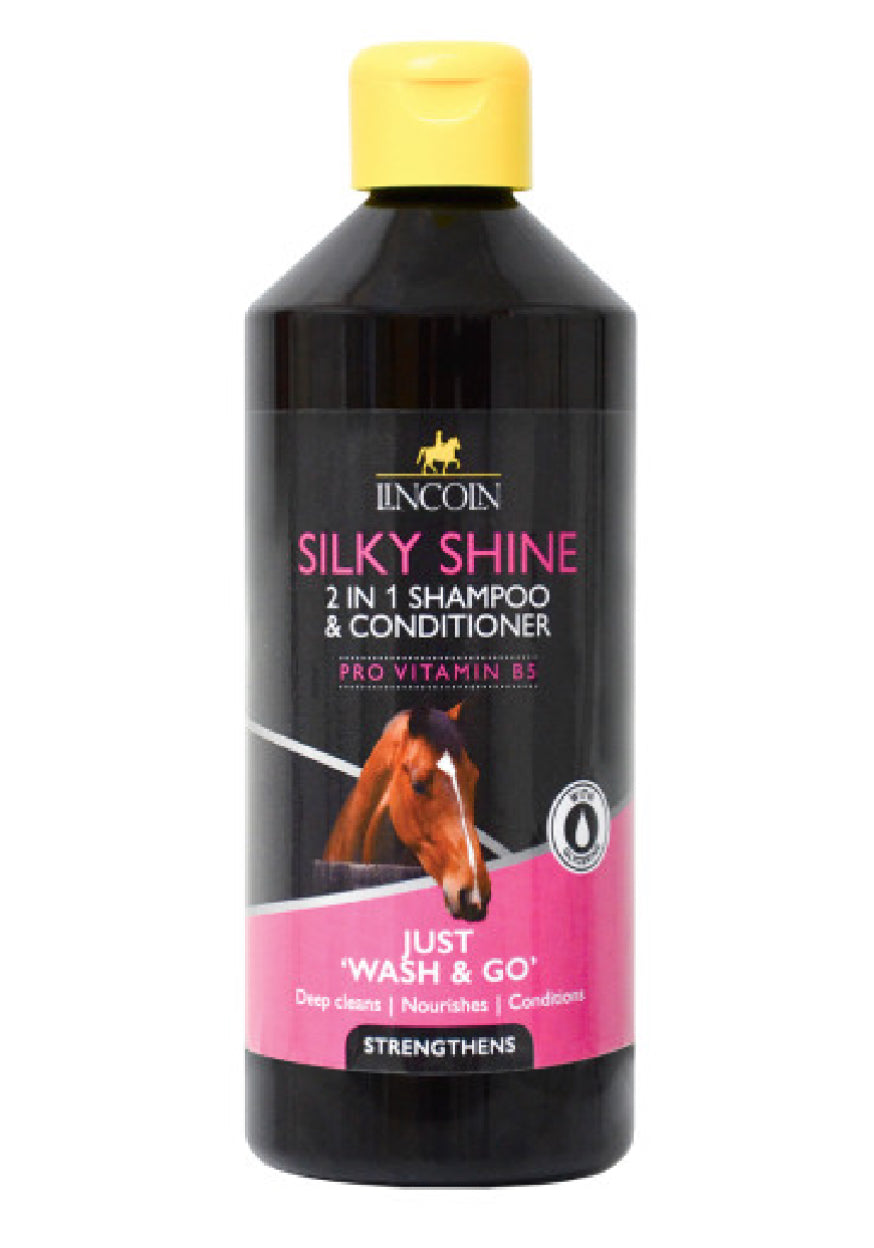 Lincoln - 2 In 1 Silky Shampoo & Conditioner