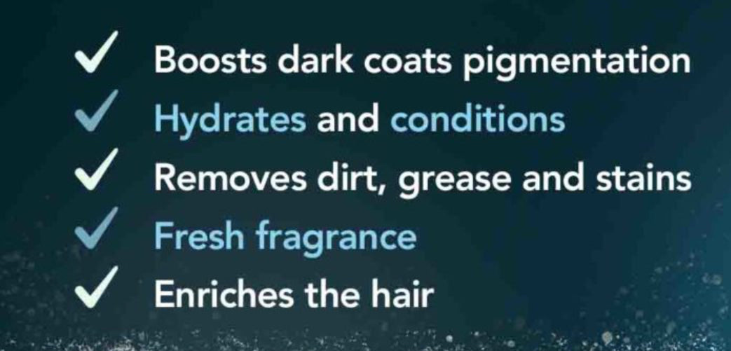 Wahl - Deep Black Shampoo