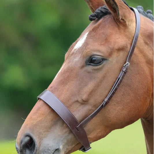Shires Cavesson Noseband