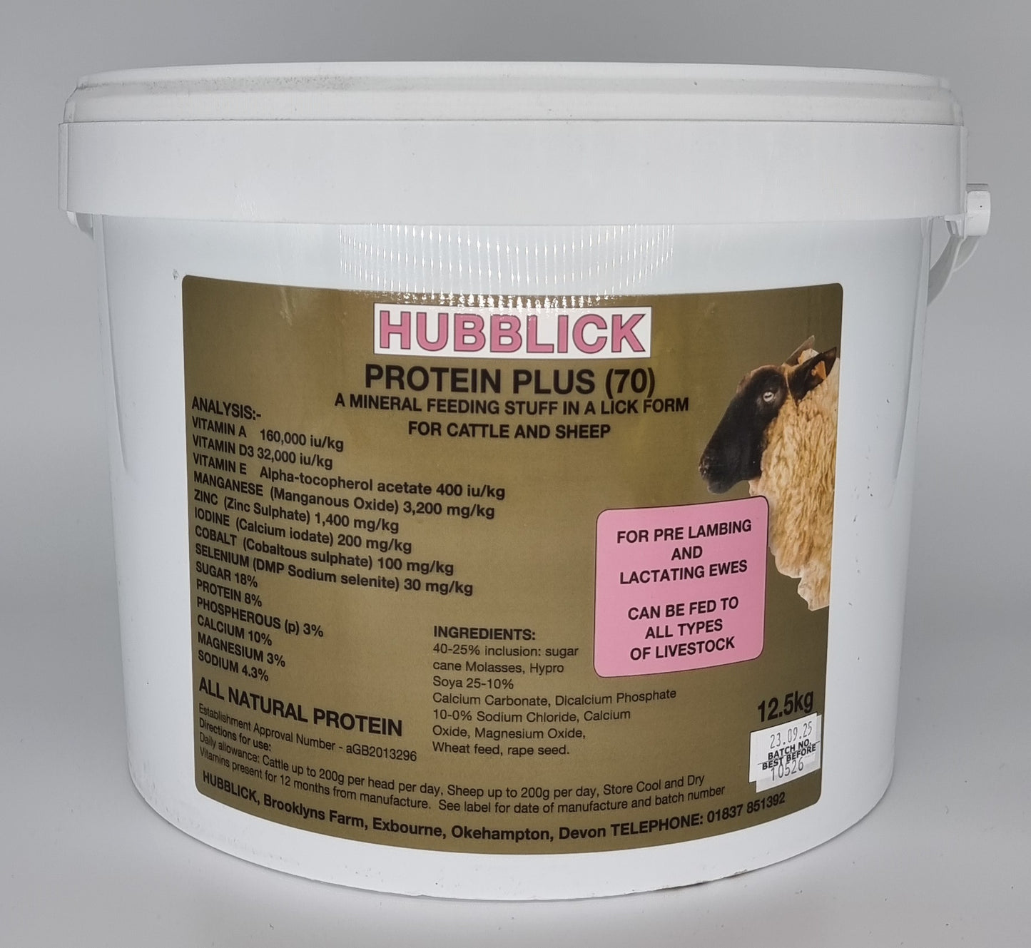 Hubblick - Licks