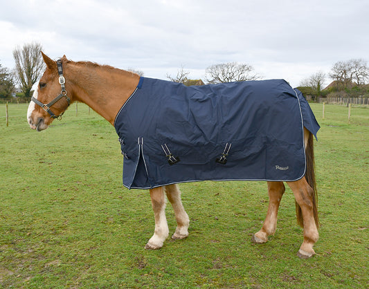 Rhinegold Capri 150g Outdoor Rug