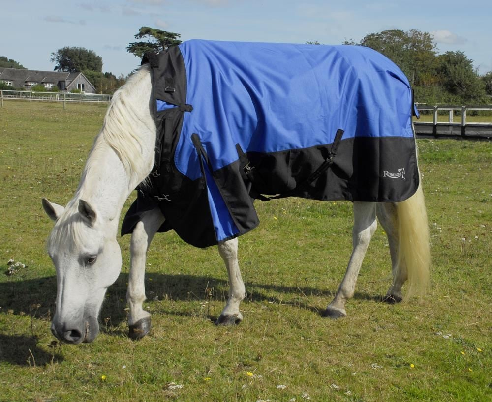 Rhinegold Phoenix 50g Outdoor Rug