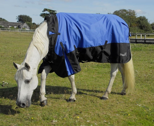 Rhinegold Phoenix 50g Outdoor Rug