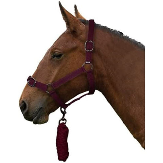 Gallop - Basic Headcollar With Leadrope