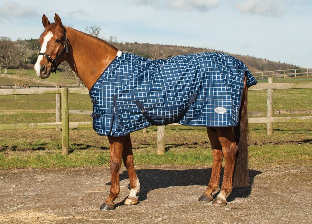Rhinegold Atlanta 0g Turnout Rug