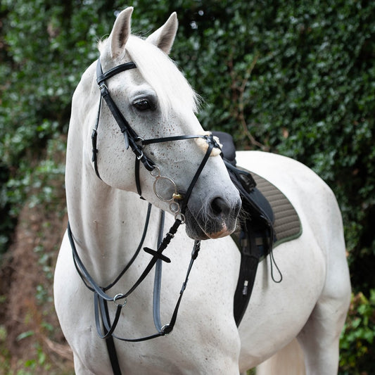 Gallop Leather Breastplate