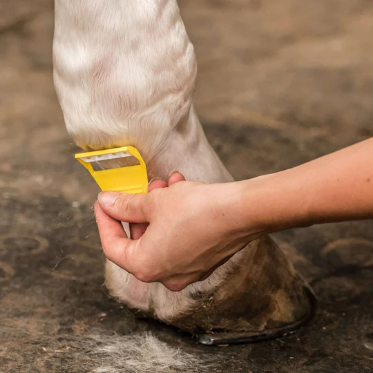 Smart Grooming Equishave