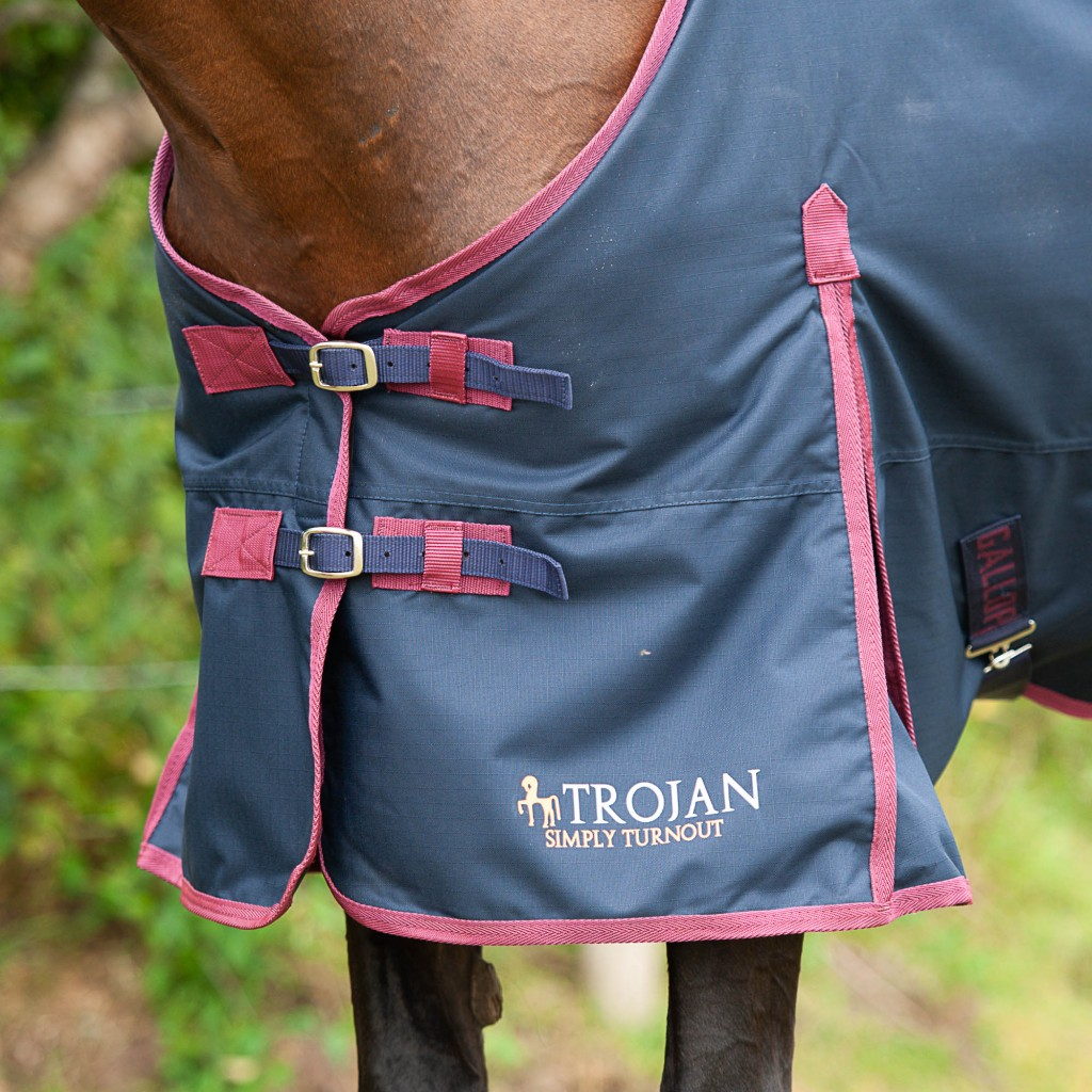 Gallop Trojan 50g Turnout Rug