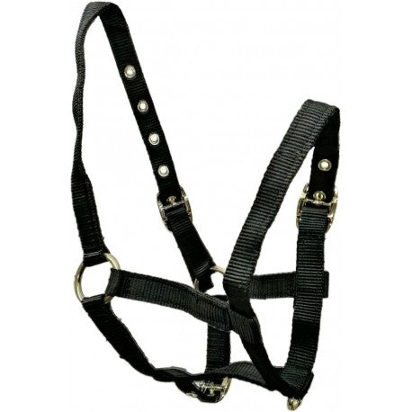 Assorted Headcollar and Leadrope Sets