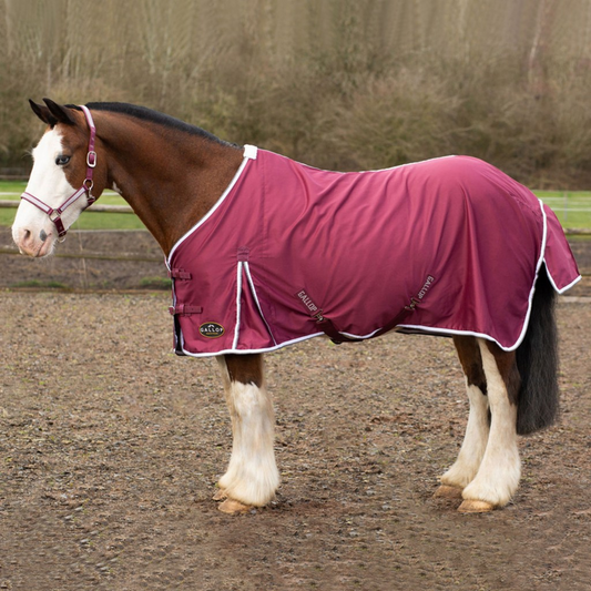 Gallop Summer Sheet Burgandy