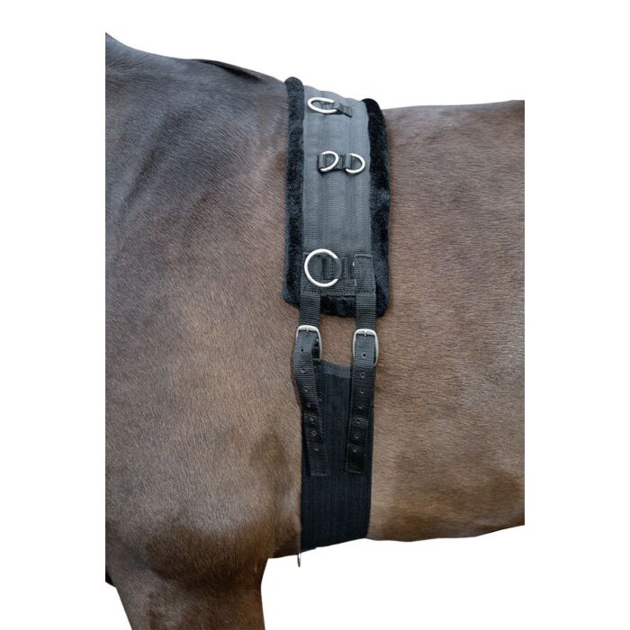 Hkm - Lunging Training Roller