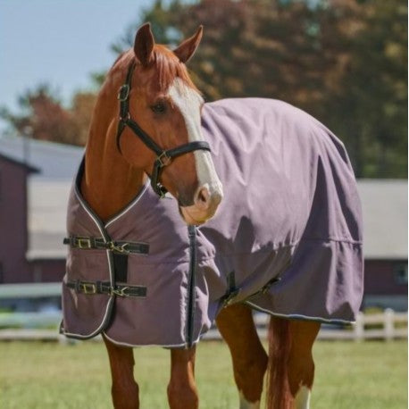 LIMITED EDITION 50g Turnout Rug