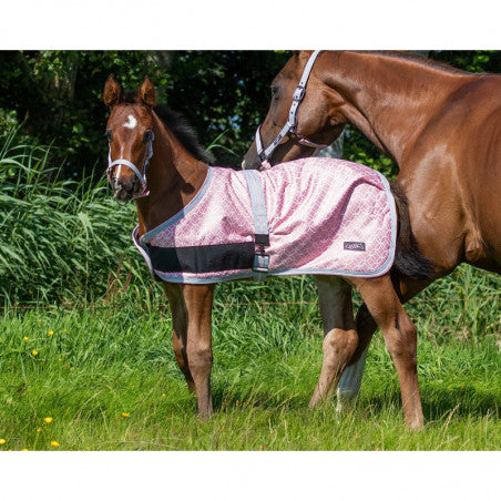 QHP Falabella 100g Foal Turnout Rug