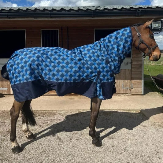 Sheldon 100g Combo Turnout Rug