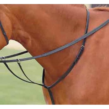 Sheldon Running Martingale